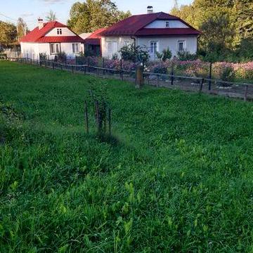 Будинок в Карпатах