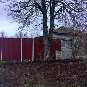 Продам будинок в місті Буринь вулиця Шевченка 19