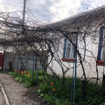 Будинок і земельна ділянка 40 соток
