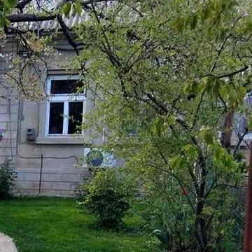 Сдам дом 2 к двор красивый, мебель и техника, животные обсуждаются!