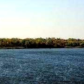 ДАЧА. ОБОЛОНЬ. ст. метро Героїв Дніпра