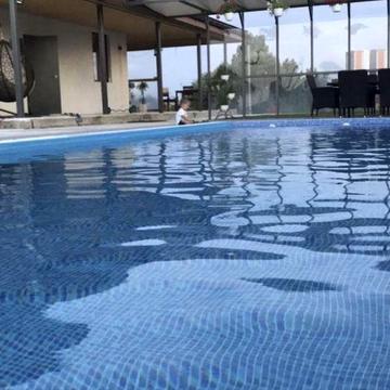 Аренда дома с бассейном 1 Безлюдовка