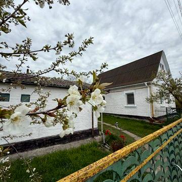 Продаж будинку в с. Сухоліси , київська область