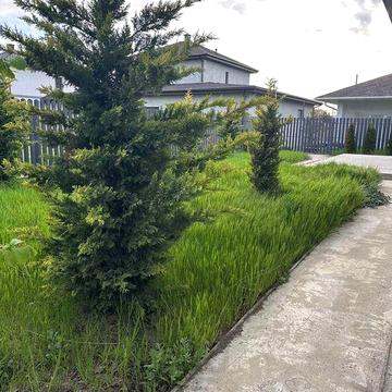 Новый капитальный дом в Лесках