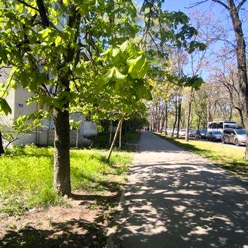 Квартира напротив парка Твена, в кирпичном доме