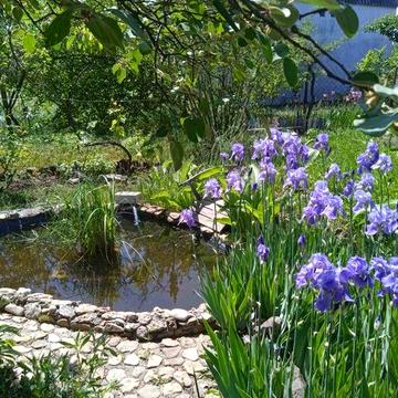 Продам дачу.Кооператив Вечерняя зоря.