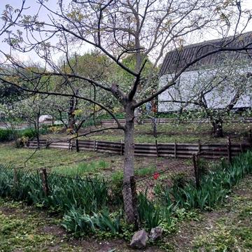 В продажу дача в межах Полтави