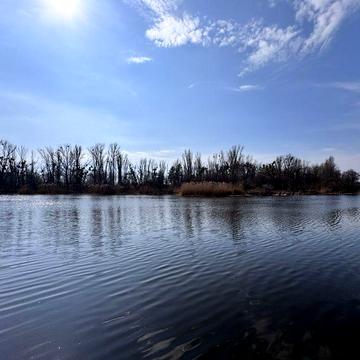 Капітальний будинок СТ Світанок. Біля р.Дніпро