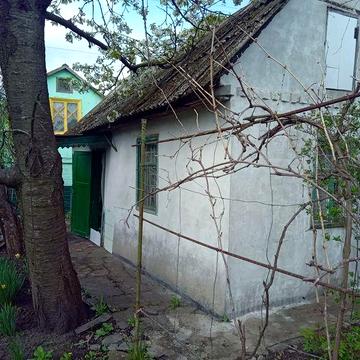 Продам дом на Баглейских садах