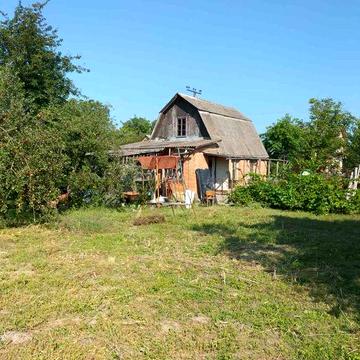 Продам земельну ділянку з дачним будинком с.Сальник