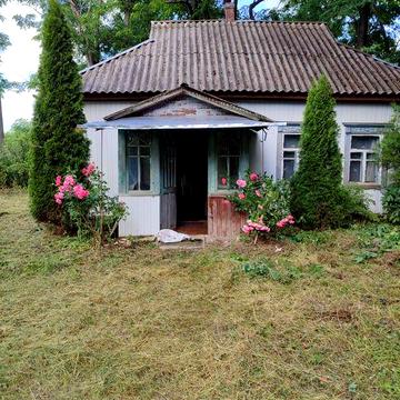 Продам недорого стару хату в селі Черевки