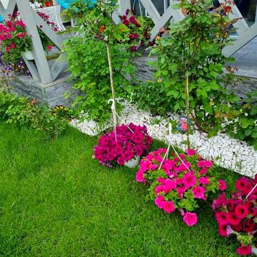 Здам будинок з гаражем