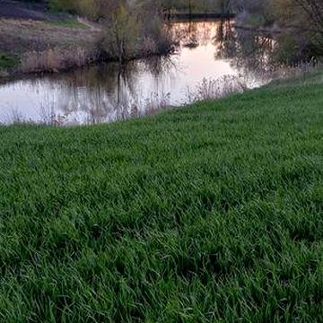 Будинок з виходом до озера