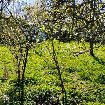 Продаж будинку у Львівській області