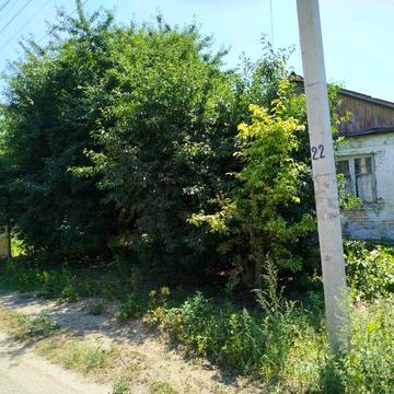 Продам       будинок в селі