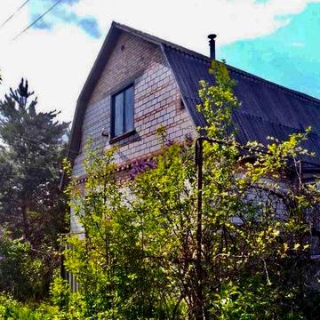 Продам будинок СТ Бакор,Новосілки.Підвал,пічне опалення,сарай