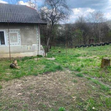 Нерухомість Дача