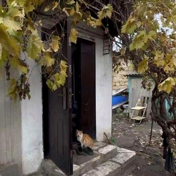 Сдается домик однокомнатный Д.Донского