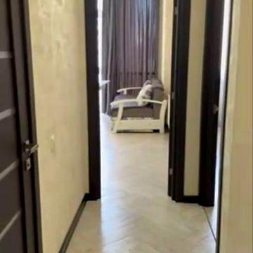 Аркадия/ 6 Жемчужина 1 ком кв seg-02 ЖК 6 Жемчужина