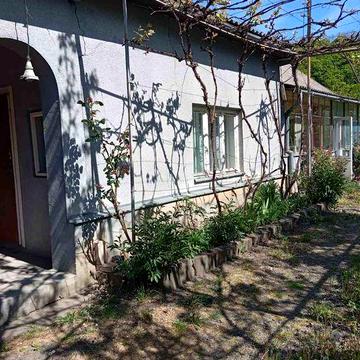 Здається будинок з великою ділянкою.