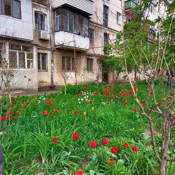 СРОЧНАЯ продажа! 1-комн. квартира в центре п. Котовского, 1 этаж под ремонт, рядом парк и школа.