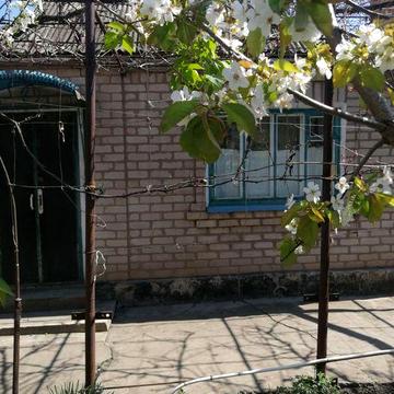 Продаю жилий  будинок  з присадибною ділянкою