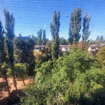 Сдам однокомнатную квартиру Генерала Петрова 11