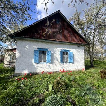 Продаж будинку з великою ділянкою