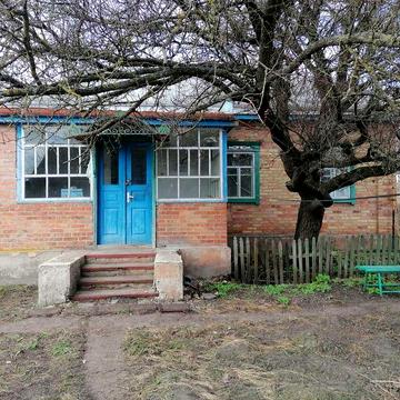Здається в довгострокову оренду будинок в с.Аркадіївка Київська обл.