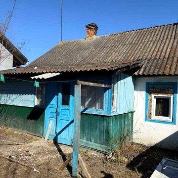 деревяний будинок біля лісу