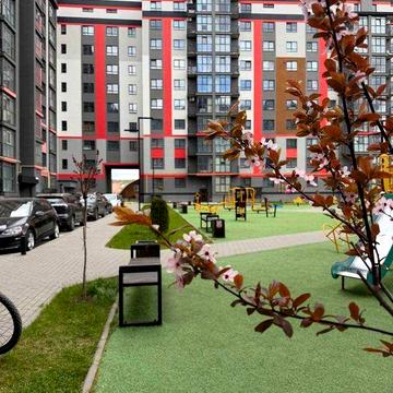 Актуальна оренда квартири в районі Виставка