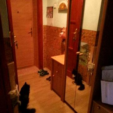 Оренда 2к вул.В.Великого