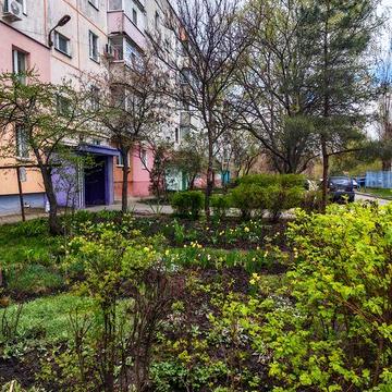 Продам 3 кімнатну квартиру на проспекті Свободи