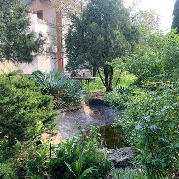 Аренда дома с бассейном в Царском Селе-1