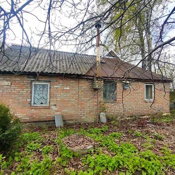 Продам будинок в селі Безпечна Білоцерківського району