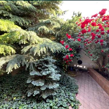 Закрытый охраняемый кооператив на 12 ст.Фонтана.Красивый ухоженный дом