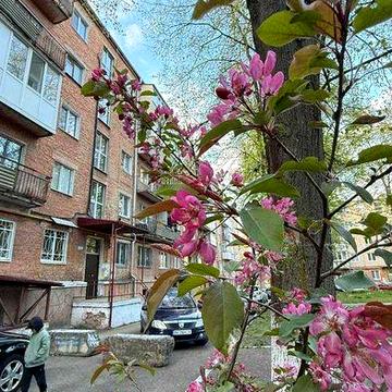 Продам 2 кімн квартиру