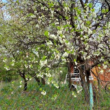 Дача по вул. Димківській