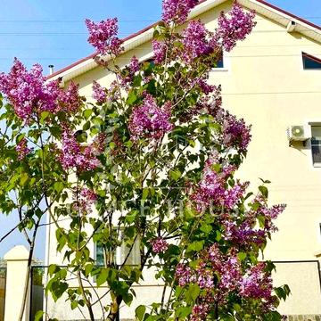 Продажа дома 200м с выходом на воду Конча-Заспа Козин дамба 30 соток земли река Козинка Обуховский район
