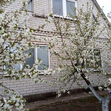 Будинок в оренду