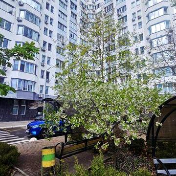 Без %, пр.Бажана.16, Осокорки Позняки двохкімнатна квартира 75 м кв на 3 поверсі.