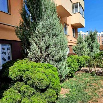 Продам 1к квартиру БЕЗ КОМІСІЇ.Зданий будинок.Жк Київський Маєток ЖК Київський Маєток
