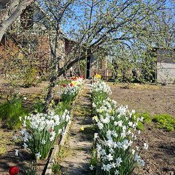 Продам дачу Обуховка купить дачу свой  выход  к озеру