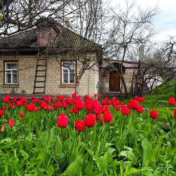 Продам будинок в с. Залевки – 9 км від центра Сміли