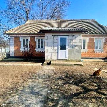 Затишний будинок у селі щ великим садом і земельною ділянкою