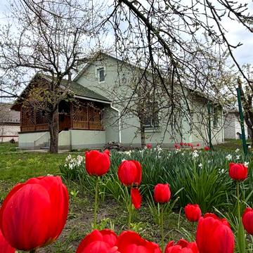 Продається будинок в селі Лукаші 82 м2