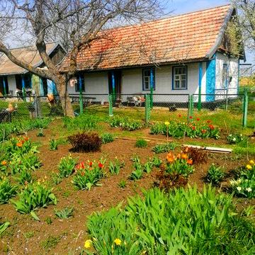Продается хата в селе Ново-Анновка