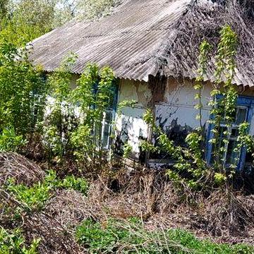 Будинок в селі під ремонт