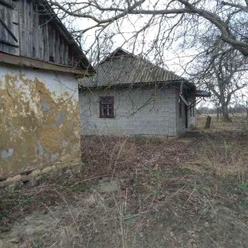 Продам будинок с. Гриненки