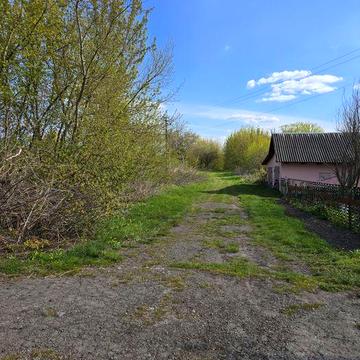 Тарасівка, 25 соток. Власний вихід до води